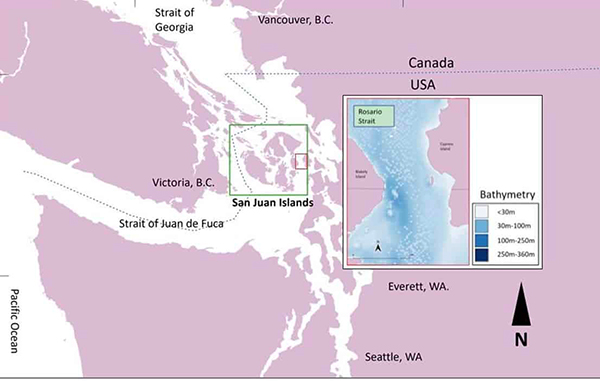 Proposed location for tidal energy project in WA