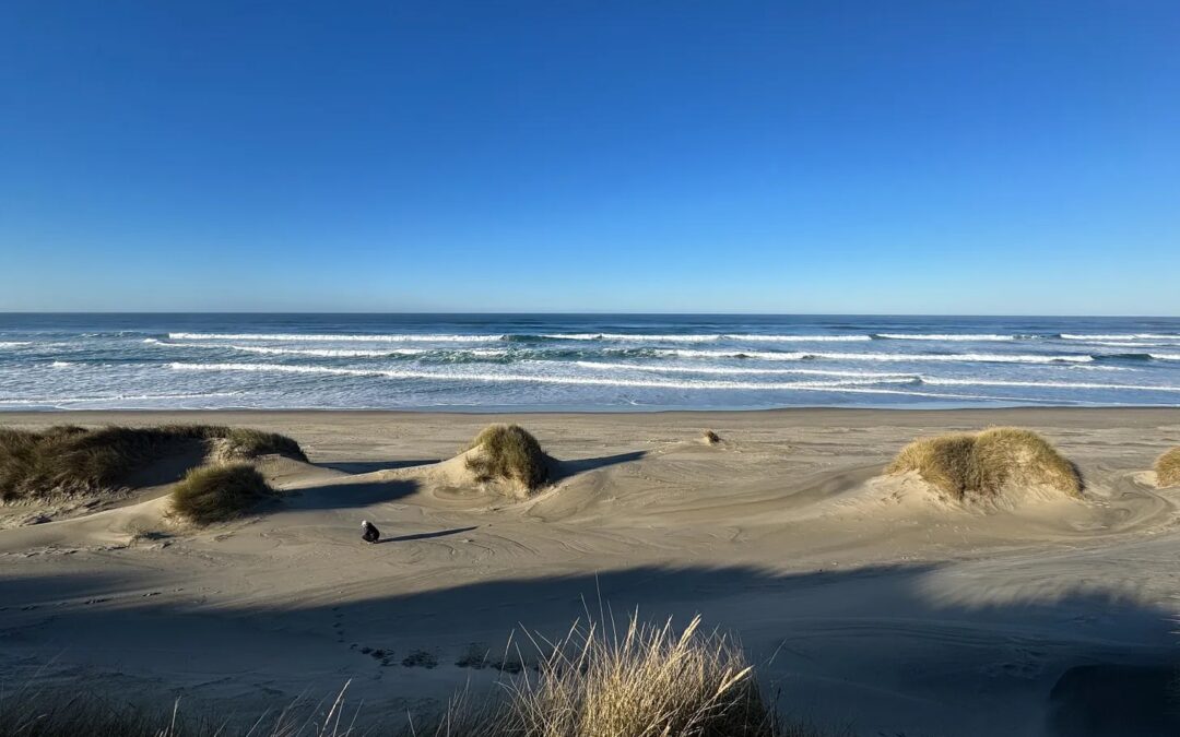 Oregon Shore