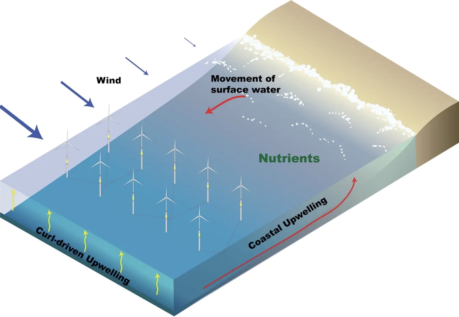 Diagram showing nutrient upwelling process, from Raghukumar et. al. 2023.