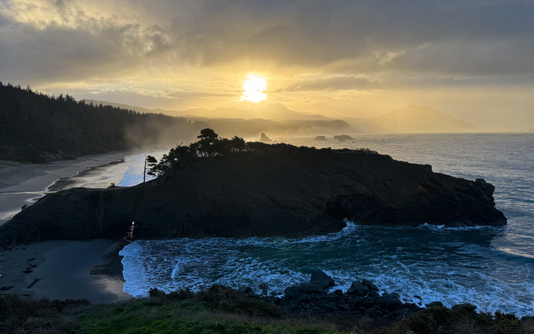 Oregon Coast, by Max Wilbert