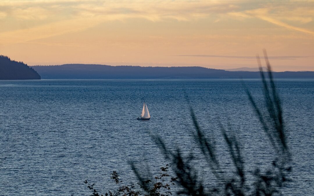 Friends of Grays Harbor Public Comments