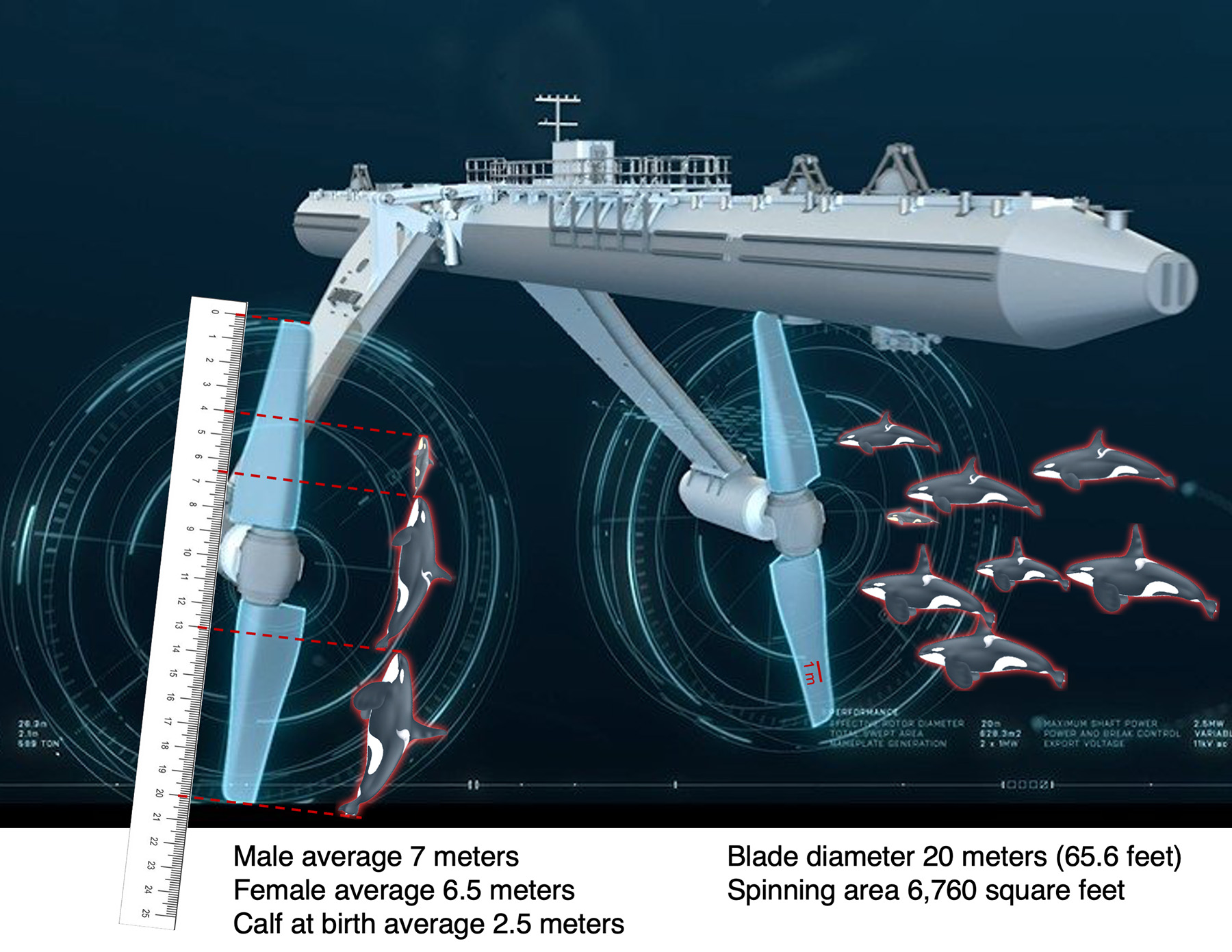 Tidal And Orca size comparison